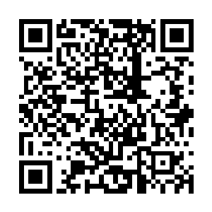 如果没记错的话昨日像个丧家犬一样逃跑的人是你二维码生成