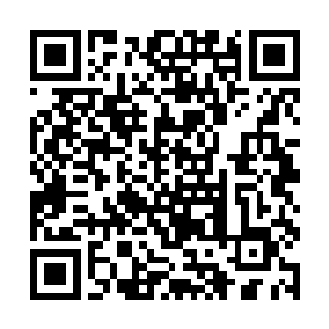 如果王青青他们这些萧易的此时此刻出现在这里的话二维码生成