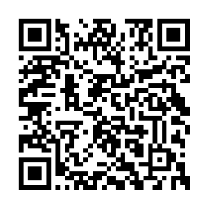 如果现在侍卫进入陵墓凤柏轩肯定会被暴露出去二维码生成