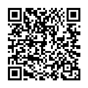 如果现在走了不知道你那个百花宗能不能坚持很长时间……二维码生成