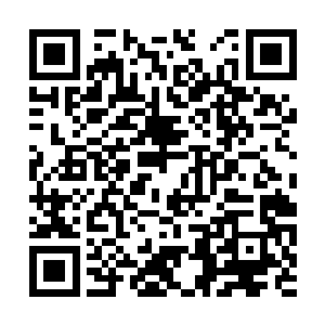 如果用青帝世界的五制譬喻……当时我们是黑制吧二维码生成