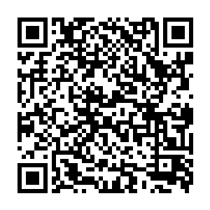 如果田园村的村民们知道他们无所不知的先知大人竟然怀疑他自己是愚蠢的笨蛋二维码生成