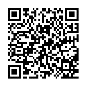 如果白奇雪问出这种问题来的话我真的不知道应该怎么回答了二维码生成