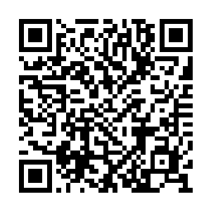 如果白熙颜已经控制了五十六个大乘后期的傀儡二维码生成