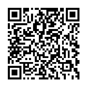 如果真是艾尼莎放的…那岂不是说这女人一直都对自己有意思二维码生成