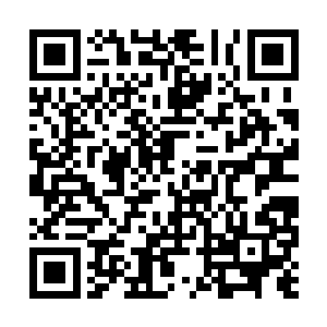 如果真有危险他们肯定是要第一时间冲上去的抵挡二维码生成