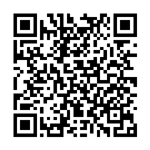 如果真有很多地底居民心甘情愿接受龙姐姐的洗脑二维码生成