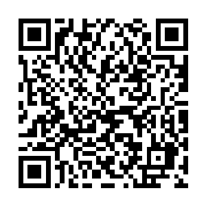 如果真没人组队……遇到闯不过的危险就直接离开二维码生成