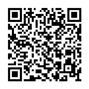 如果真的出现那种可能导致玩家精神崩溃的情况二维码生成