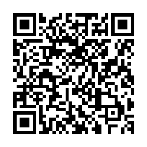 如果真的因为他们两个的原因让叶秋下定决心去帮助其他门派二维码生成