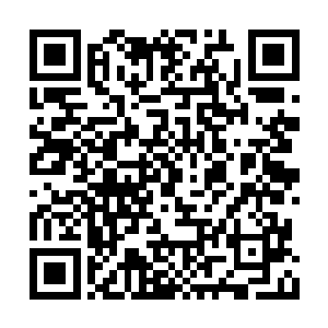 如果真的接受她又怎么会有现在这样隐藏的身手二维码生成