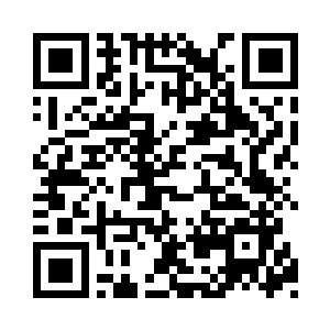 如果真的政府又将大部分的责任推卸给了我们二维码生成