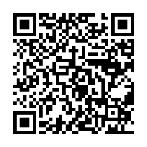 如果真的有人可以从那万金阁的手中提前买入了物质二维码生成