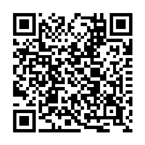 如果真的有大批修炼者进入到夏天的森罗万象的话二维码生成