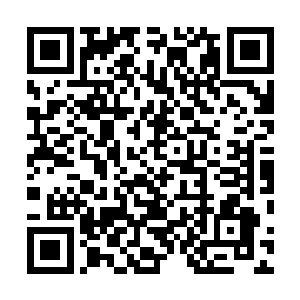 如果真的有能够让圣域巅峰强者短时间内实力大进的圣果二维码生成