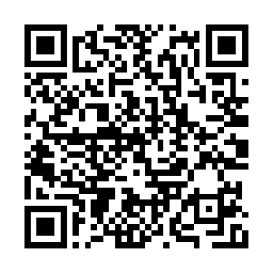 如果真的没办法需要在外面对陈长生行跪拜大礼二维码生成