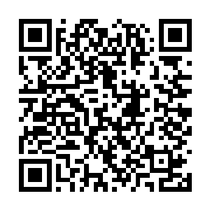 如果真的砸上了我想奶奶一定会你给你一个说法的二维码生成
