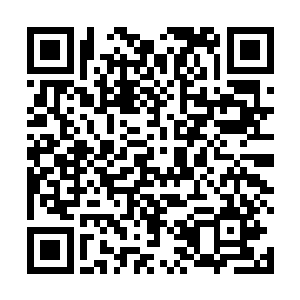 如果知道苏燕青也是今天乘飞机离开昌州返回京城过年二维码生成