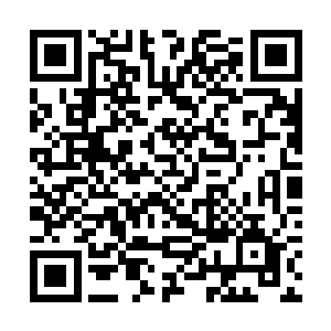 如果秦宝华现在因为这件事情而和陆为民产生了冲突二维码生成