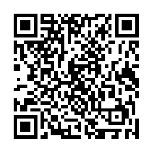 如果穿上这披风后控制了数量成千上万的厉害狼群为己用二维码生成