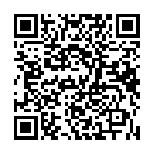 如果结合仙帝的说的仙界也是人为打造出来的这个说法二维码生成