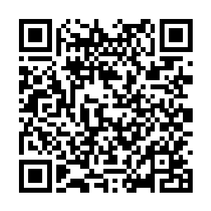 如果罗伊国王过早的对外宣布了林王妃怀孕的消息二维码生成