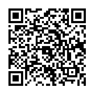 如果耶律野自己是太子他还可能选一个皇室出身的女子二维码生成