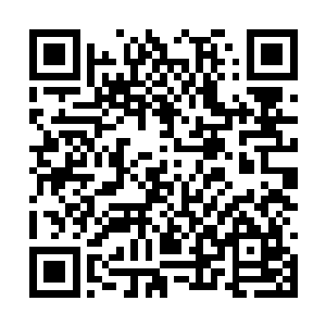 如果能够把这些特殊物质成功的用在人类的身体里二维码生成