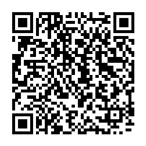 如果能够收取这个火属性龙魂她那停滞不前已经很久的修为就一定会得到突破二维码生成