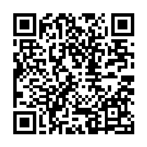 如果能够让他们把神龙辛苦命和将家紧密地联系在一起二维码生成