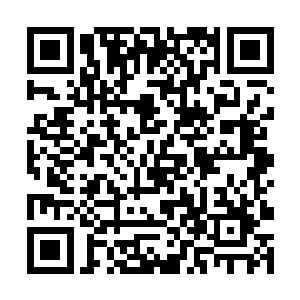 如果能够让我们在纯元秘境内再进一步就再好不过了二维码生成