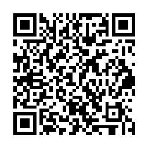 如果能把所有精力和时间都投放在炼制一阶解毒药剂上的话二维码生成