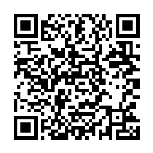 如果能把这些都一次弄回去又给族里增加了一大批的食物二维码生成
