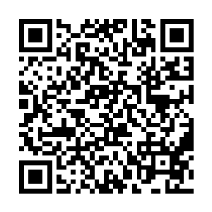 如果能挖到几个顶尖的工匠巫师成为白河谷地的一员二维码生成