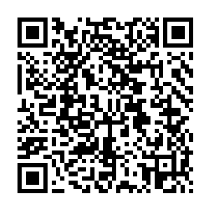 如果自动放弃的那些人知道他们放弃了什么……怕是肠子都要悔青了吧二维码生成