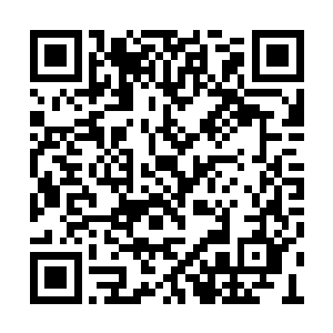 如果自己出现在胡珂的家里而被卫正冬发现的话二维码生成