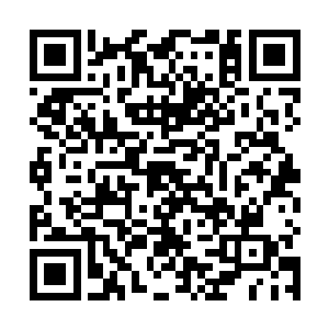 如果自己刚刚和江华年的谈话内容都被何书蔓听到了话二维码生成