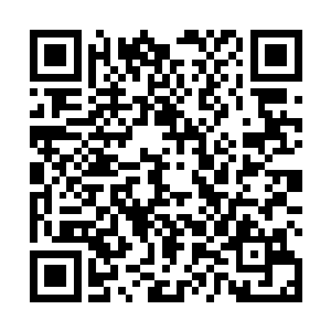 如果自己带来的这些干公主都没有入九幽王的法眼的话二维码生成