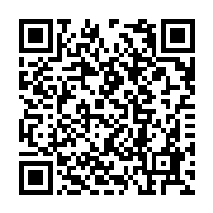 如果自己死去或者因为什么缘故导致灰烬平原关闭二维码生成