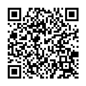 如果自己现在还用以前炼制丹药的想法来限制自己的时候二维码生成