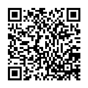 如果自己用外国最新的活菌净化技术和生物污泥联合净化二维码生成