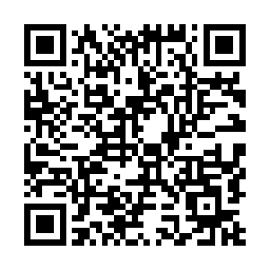 如果自己这个c级的强者成为了一个d级实力者的奴仆二维码生成