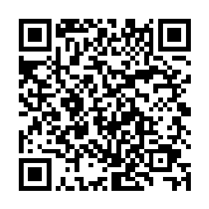 如果苍茫大陆上大部分的修士都站在了王卧云的阵营中二维码生成