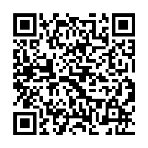 如果苟寒食和天海胜雪以及文试最后交卷的那四名槐院书生二维码生成