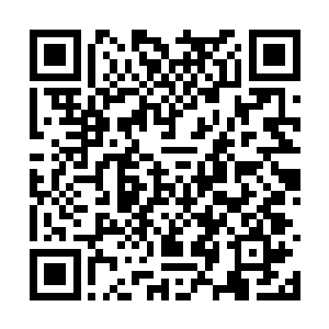 如果萧强不是恰好在这个时候把藏云山租过来的话二维码生成