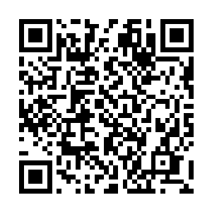 如果萧强对洪氏集团和山妙的关系所做的猜测被证实了二维码生成