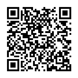 如果蓝天护和秦洛在节目中发生一些冲突或者矛盾二维码生成