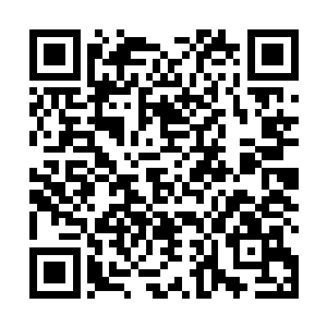 如果被天度白玉知道了他和轩辕白鹤并非是两亿的高价二维码生成
