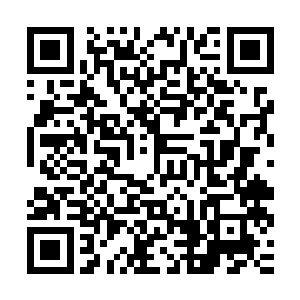 如果被李公公带回宫廷……那以后就是屠杀龙凤族全族的铁证啊二维码生成