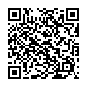 如果被高手撞见法相返回的是这片岩浆之海的神庙金字塔二维码生成